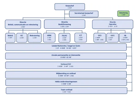 Organogram (versie juni 2024)