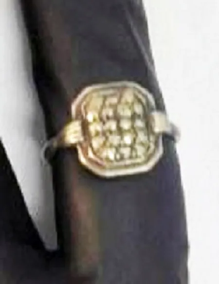 Ring 1