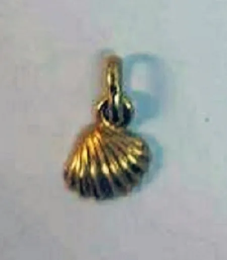 Oorbel schelp