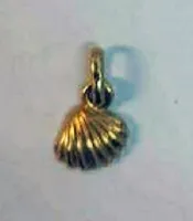 Oorbel schelp