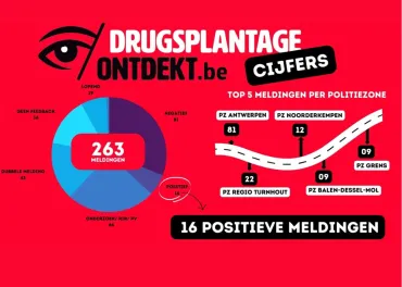 Drugsplantage ontdekt